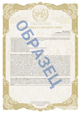 Образец Приложение к СТО 01.064.00220722.2-2020 Янаул Сертификат СТО 01.064.00220722.2-2020 